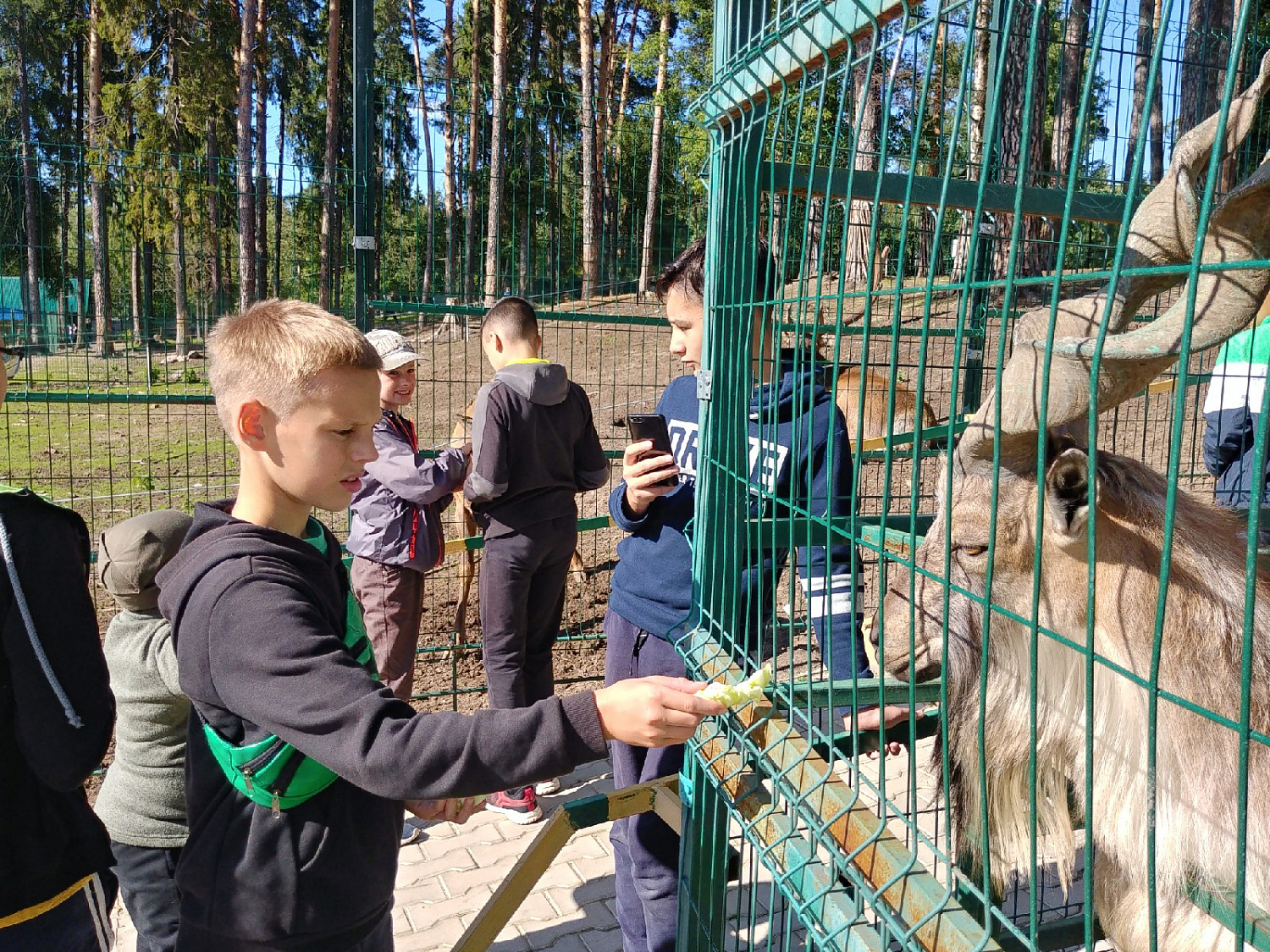 XXVI международный шахматный фестиваль «Кубок Волги - 2019» 